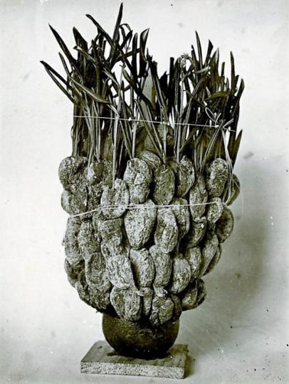 1.-IEF-foto-258-Novogodišnja-Kolenda,-okolica-Dubrovnika,-Milovan-Gavazzi,-Institut-za-etnologiju-i-folklori