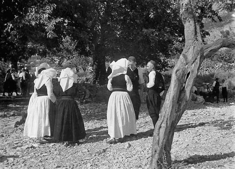 10.-IEF-foto-1639,-Pod-maslinama,-Popovići,-Tošo-Dabac,-Institut-za-etnologiju-i-folkloristiku